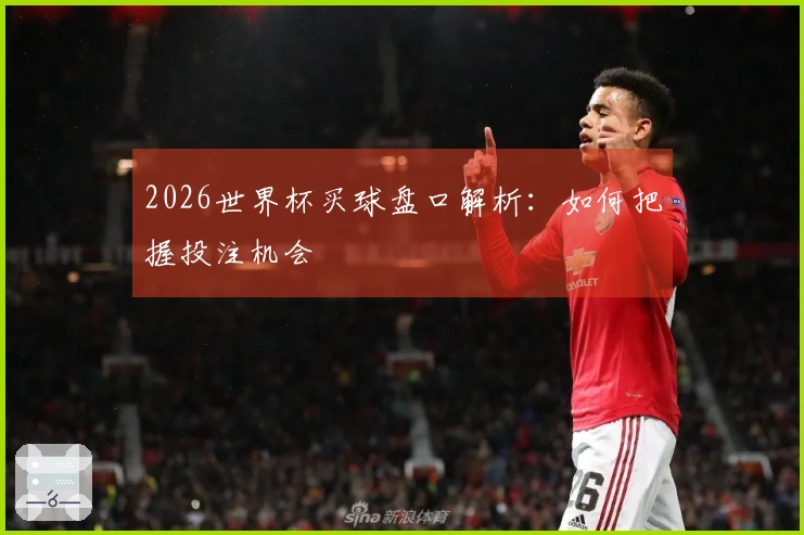 2026世界杯买球盘口解析：如何把握投注机会
