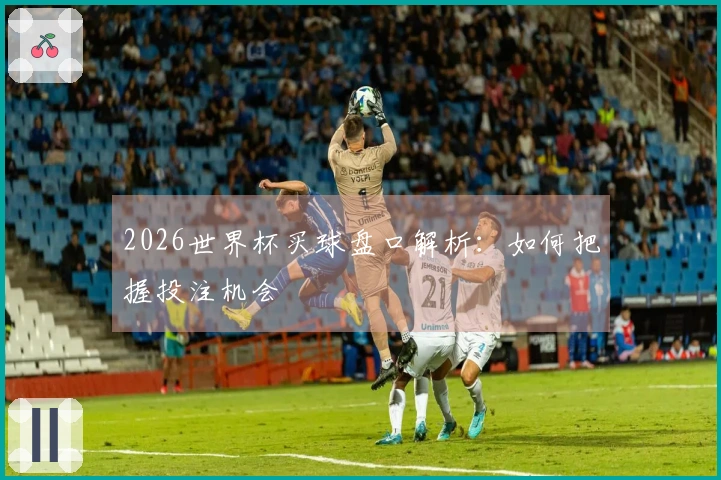 2026世界杯买球盘口解析：如何把握投注机会