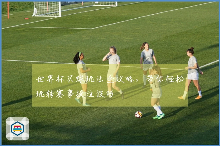 世界杯买球玩法全攻略，带你轻松玩转赛事投注技巧