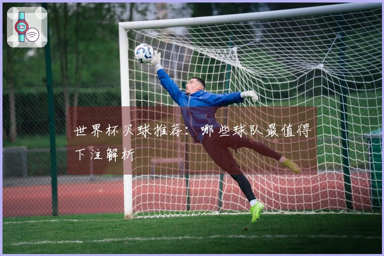世界杯买球推荐：哪些球队最值得下注解析