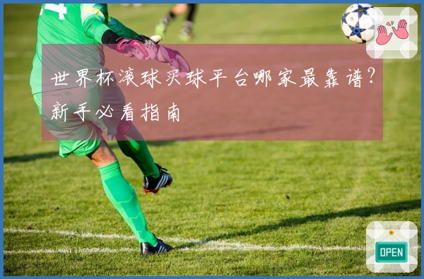 世界杯滚球买球平台哪家最靠谱？新手必看指南