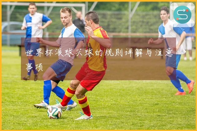 世界杯滚球买球的规则详解与注意事项