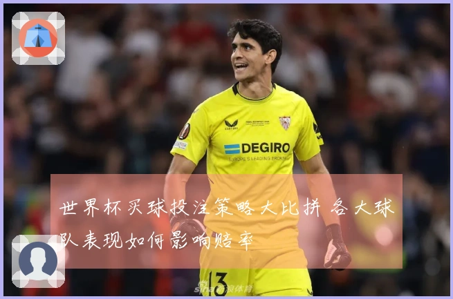 世界杯买球投注策略大比拼 各大球队表现如何影响赔率